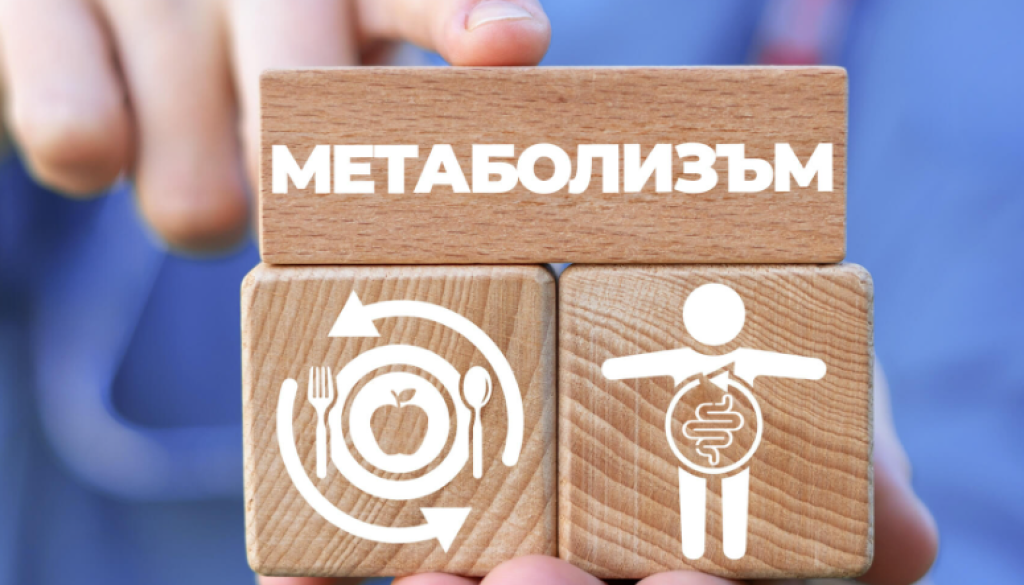 метаболизма