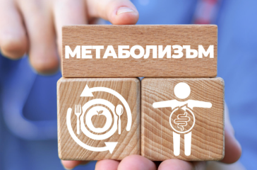 метаболизма