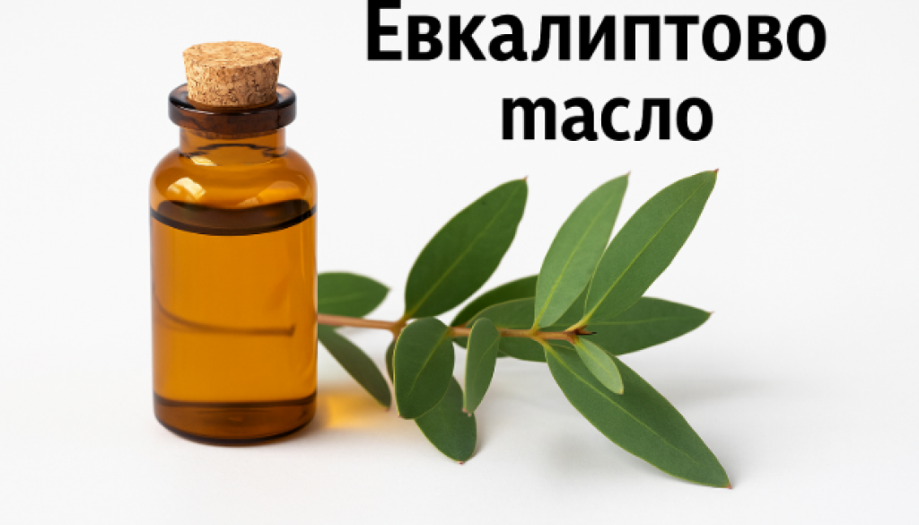 , евкалиптовото масло