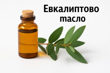 , евкалиптовото масло