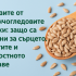 Слънчогледовите семки